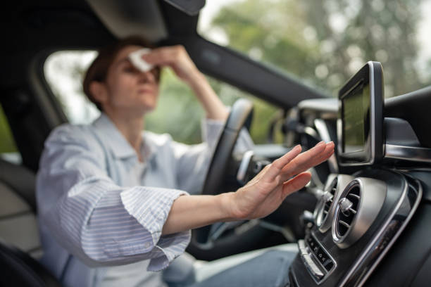 Best Air Conditioning Cleaning in Dexter, NM